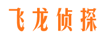 临洮市私家侦探